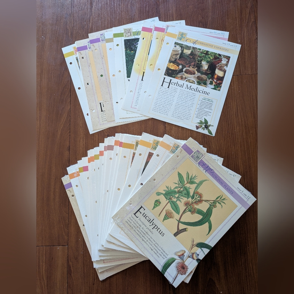 Alternative Therapies Herbal Medicine Pages - Picture 3 of 4